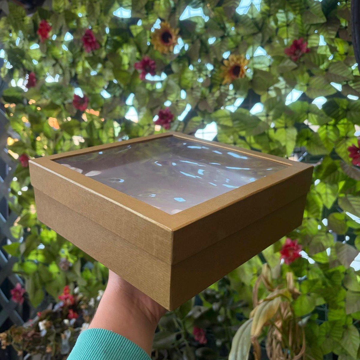 Caja con tapa transparente LadyBox